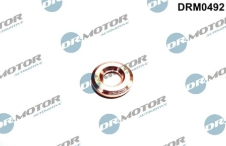 DRM0492 Lizarte