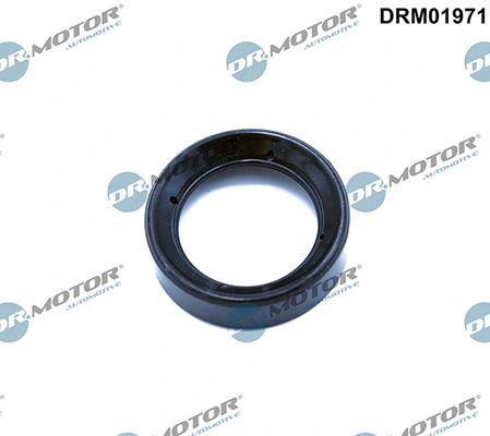 DRM01971 Lizarte