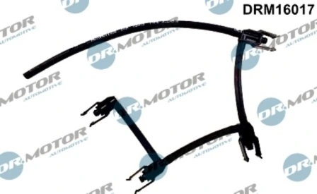 DRM16017 Lizarte