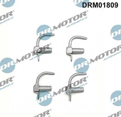 DRM01809 Lizarte