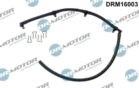 DRM16003 Lizarte