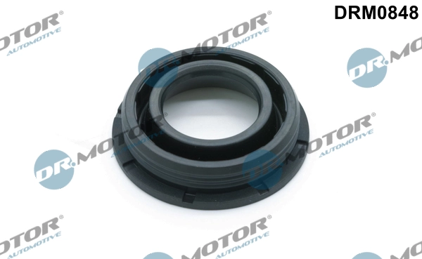 DRM0848 Lizarte