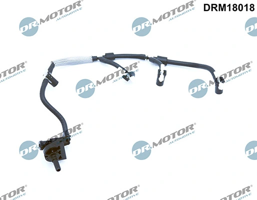DRM18018 Lizarte