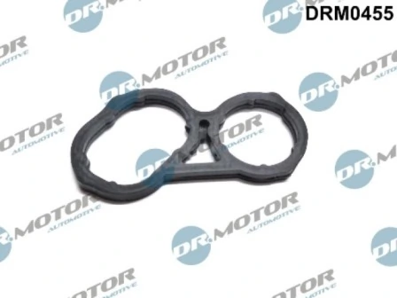 DRM0455 Lizarte