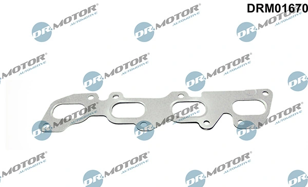 DRM01670 Lizarte