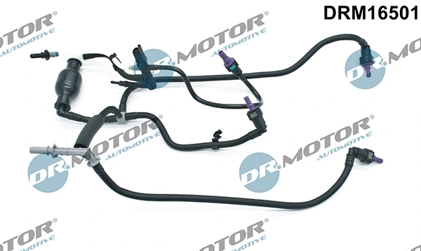 DRM16501 Lizarte