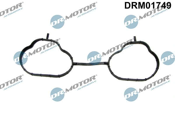 DRM01749 Lizarte