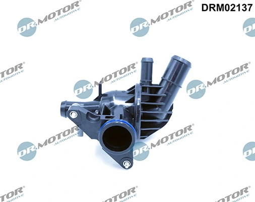 DRM02137 Lizarte