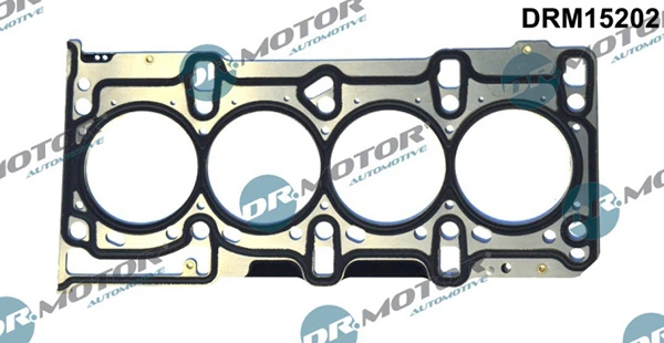 DRM15202 Lizarte