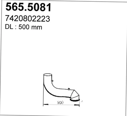 5655081 Asso