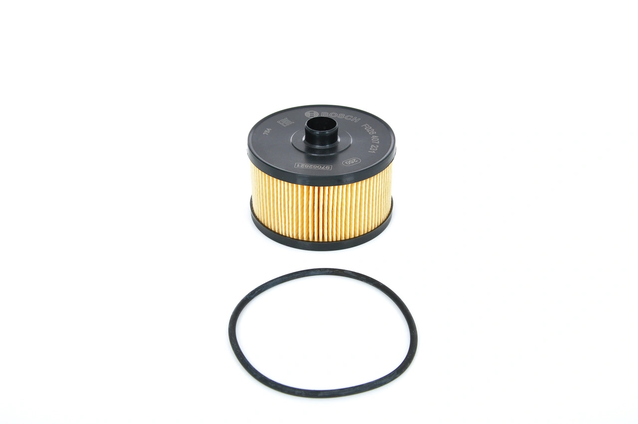 F026407231 Bosch Filtro de óleo