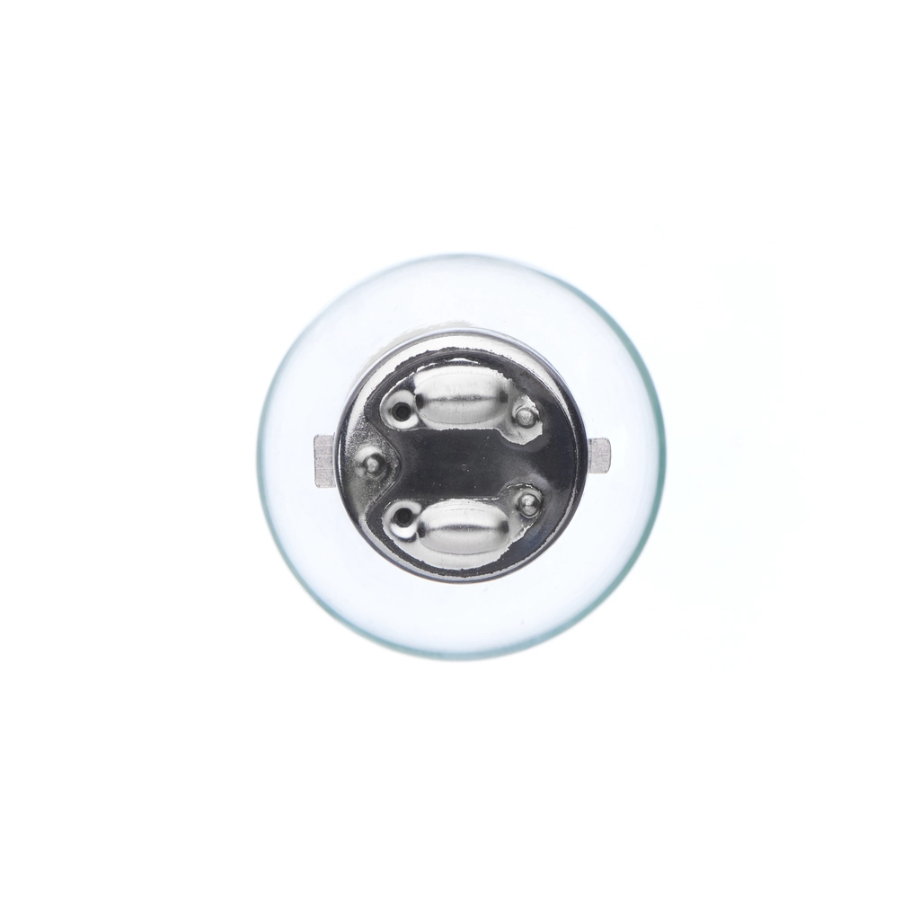 Lâmpada 1987302105 Bosch