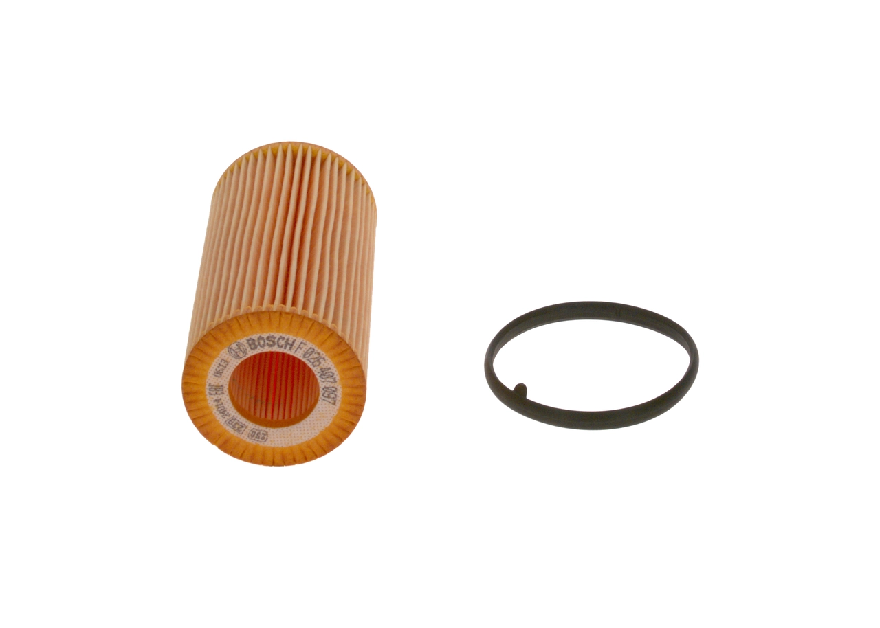 Compre F026407097 Bosch Filtro de óleo