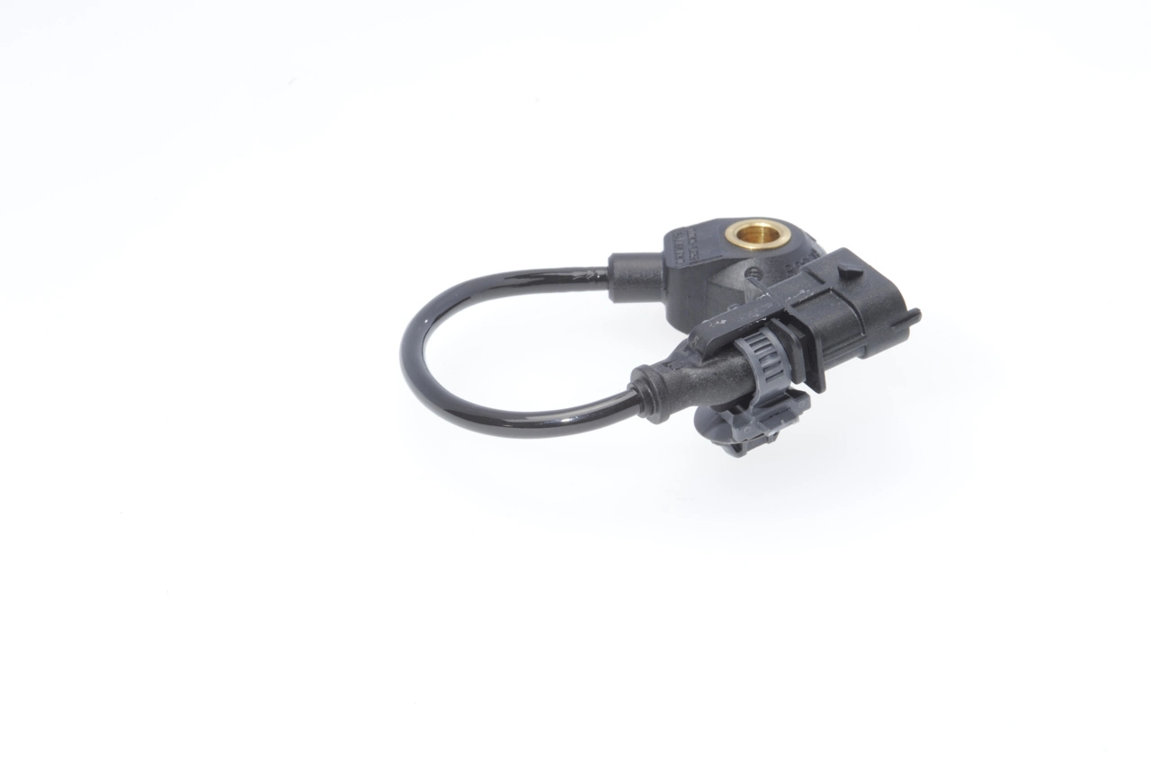 0261231149 Bosch Sensor de detonação