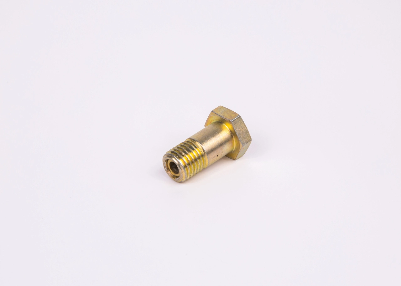F002D13579 Bosch Parafuso