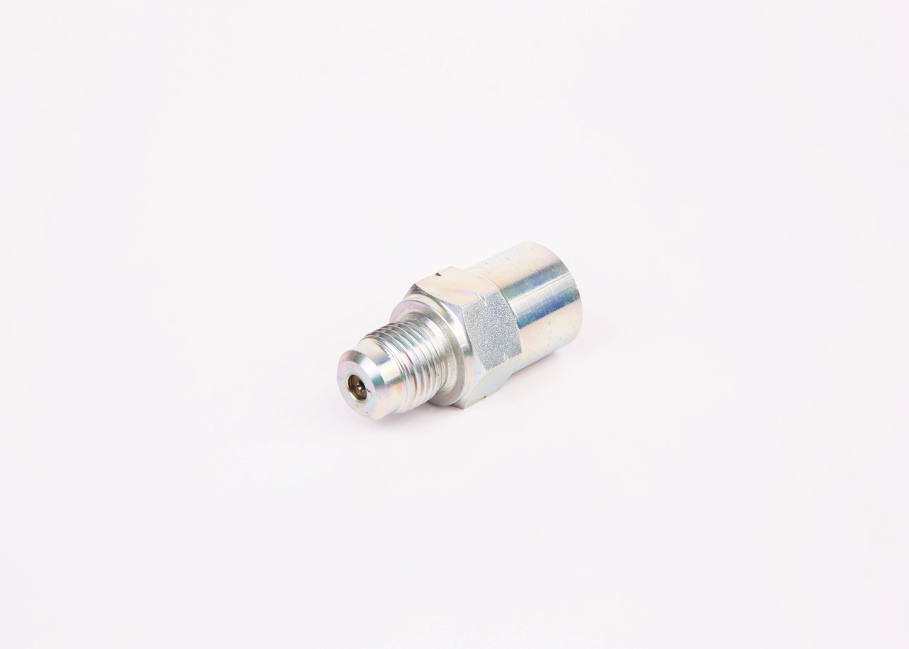2417413110 Bosch Válvula de derivação de combustível (parafuso banjo)