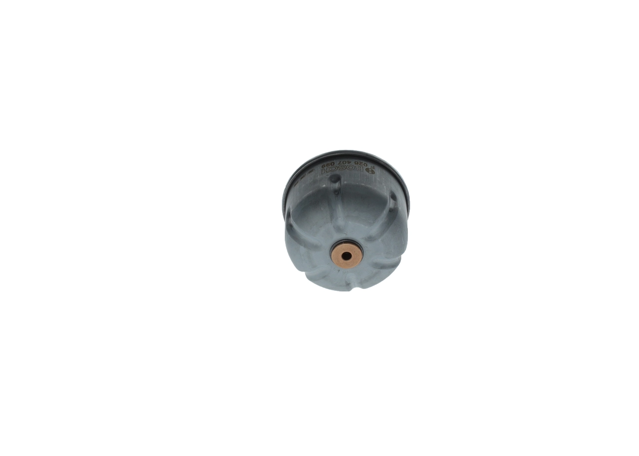 F026407099 Bosch Filtro de óleo