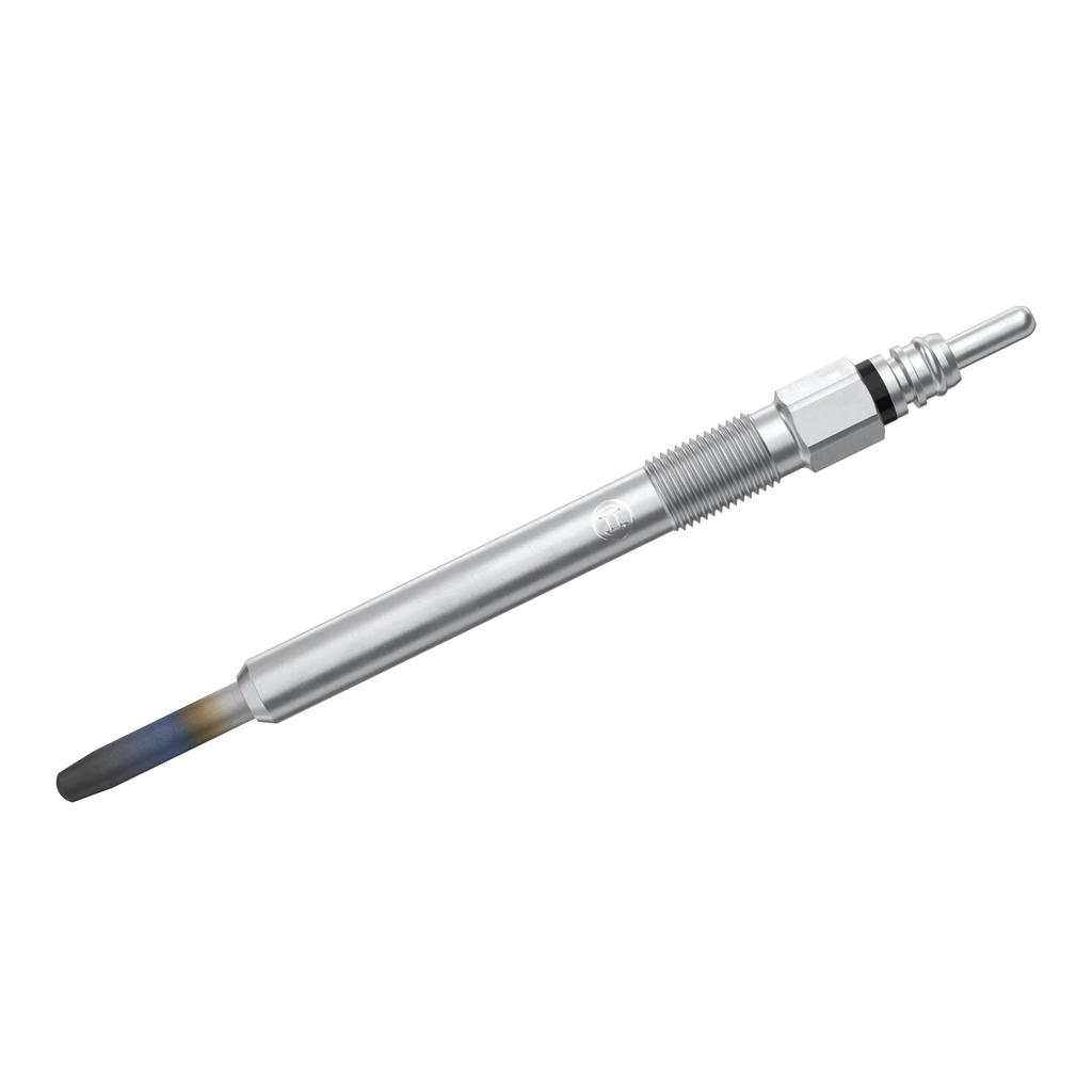 0250202038 Bosch Vela de incandescência