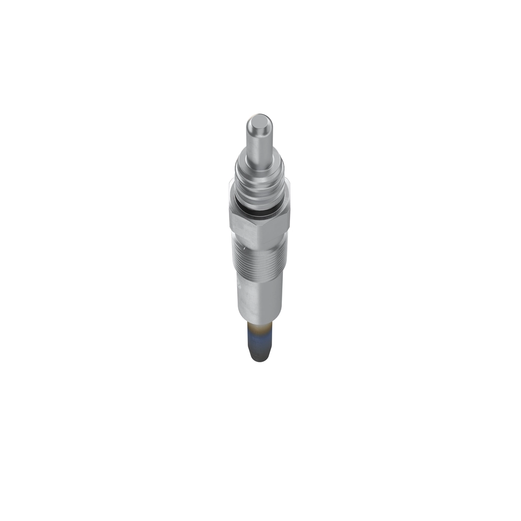 0250202022 Bosch Vela de incandescência