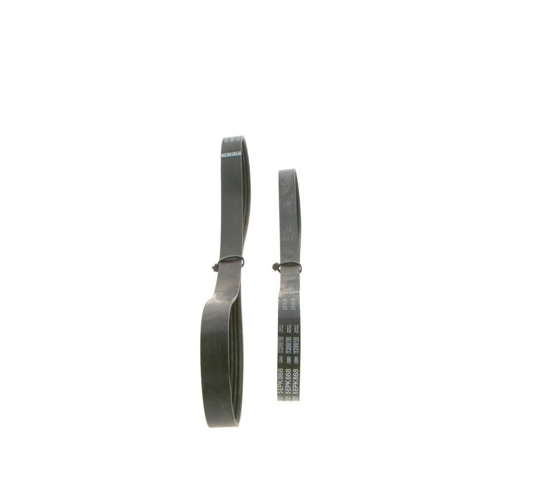 1987946196 Bosch Correia dos conjuntos de transmissão, kit