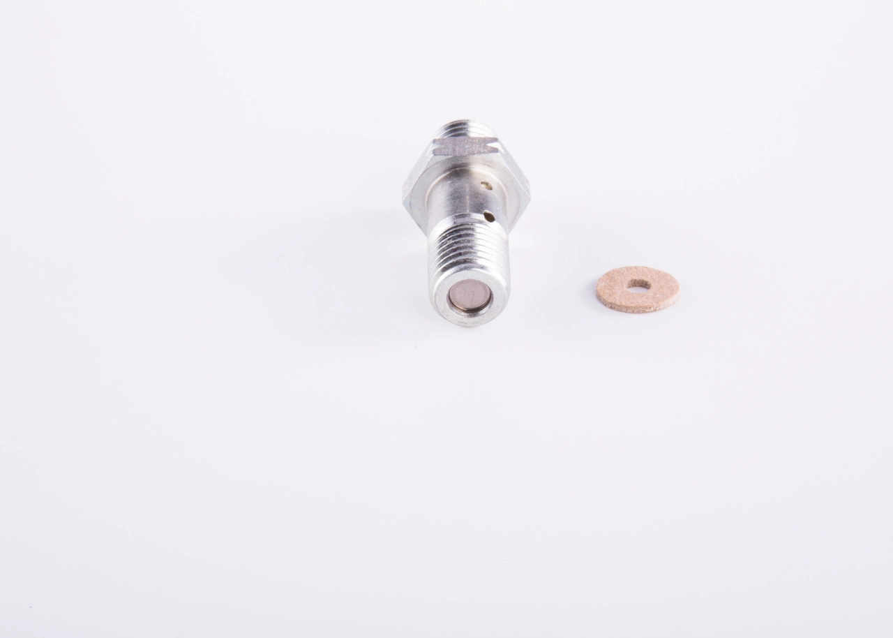 2467413025 Bosch Válvula de derivação de combustível (parafuso banjo)