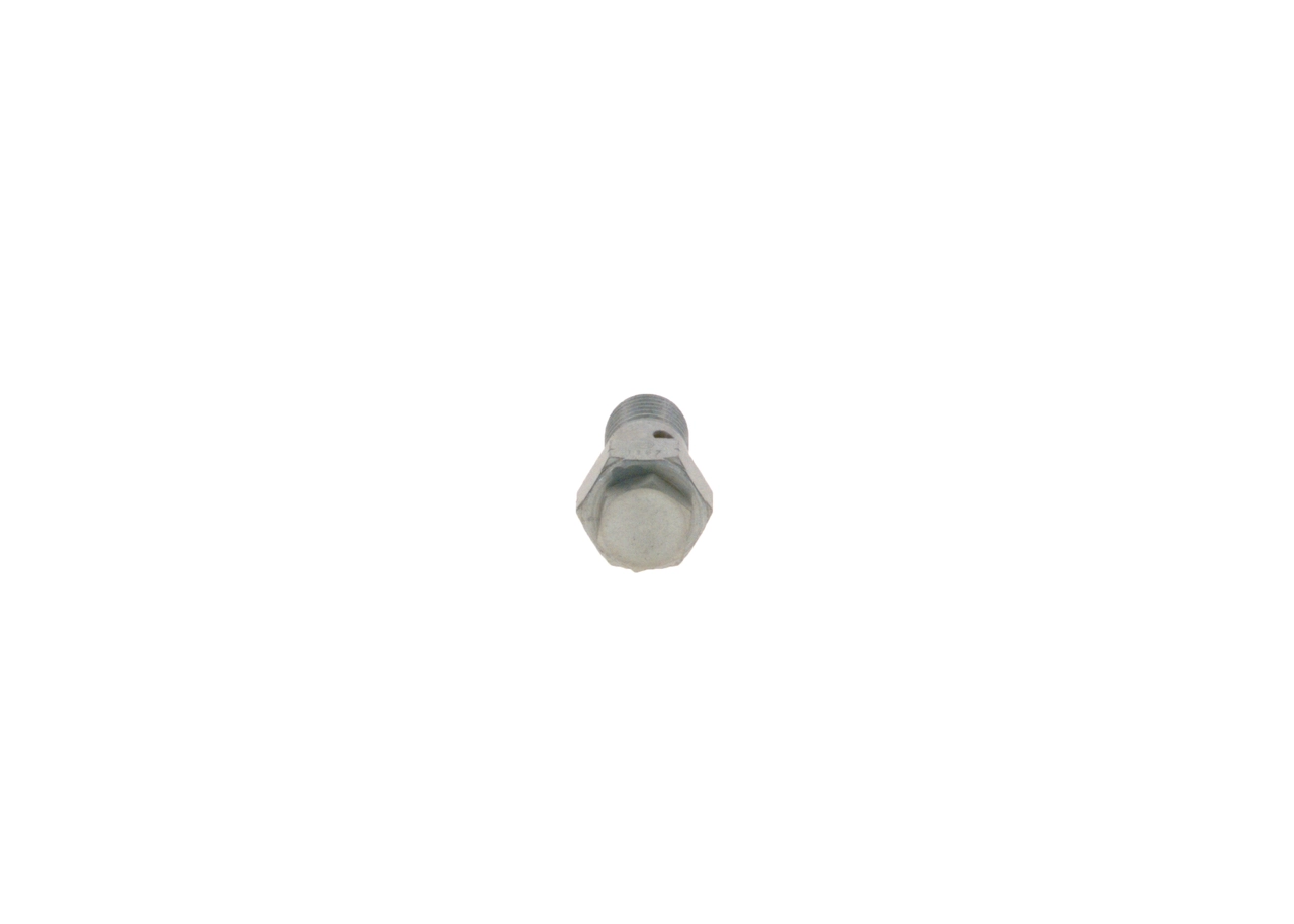 Compre 2417413101 Bosch 