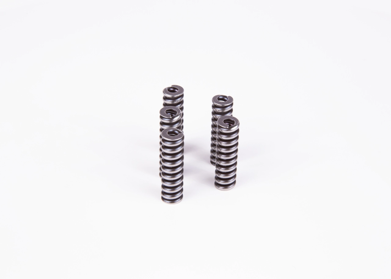 2434614055 Bosch Mola das sapatas do freio de tambor traseiras