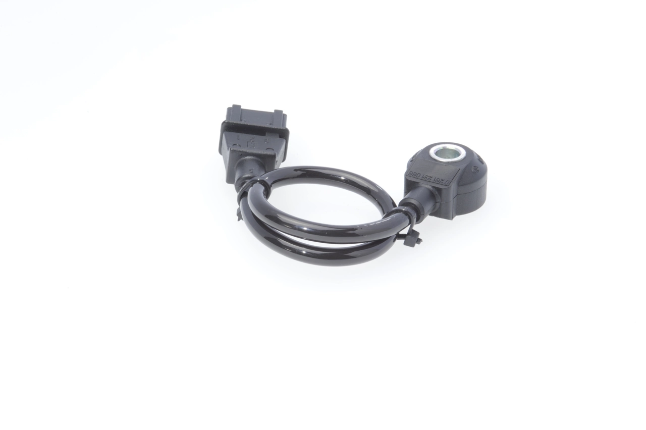 0261231066 Bosch Sensor de detonação