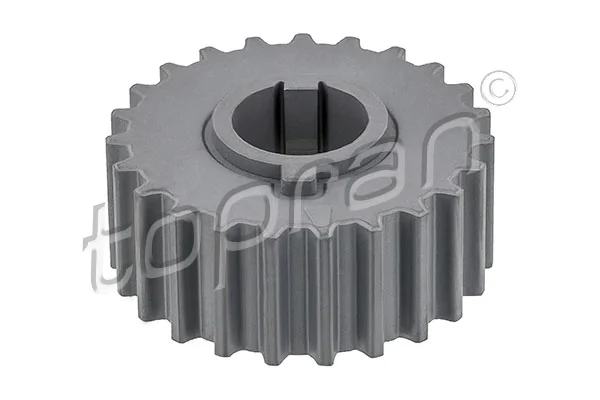 Engrenagem de cadeia da roda dentada de acionamento de cambota de motor 11055129 Peugeot/Citroen