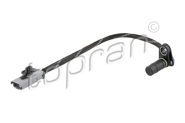 Citroen C4  (3D)