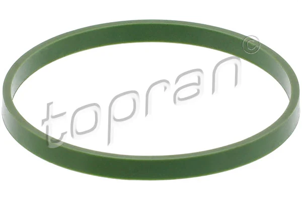 Vedante da válvula de borboleta para Citroen Jumper 250