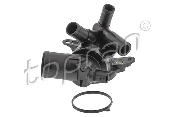 Termostato Renault (RVI) 110617250R