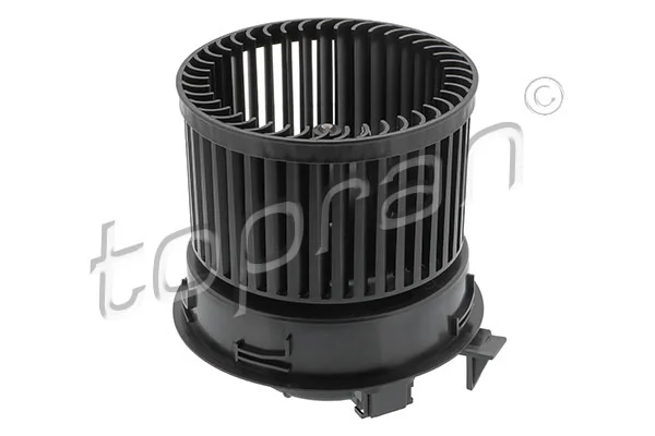 Comprar C4 B73