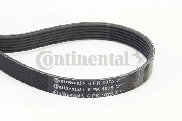 6PK1075 Continental/Siemens Correia dos conjuntos de transmissão