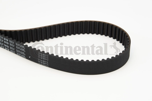 Correia do mecanismo de distribuição de gás Continental/Siemens CT919 preço, a partir de 33,57 USD
