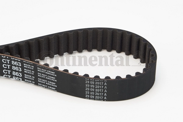 Correia do mecanismo de distribuição de gás Continental/Siemens CT863 preço, a partir de 21,16 USD