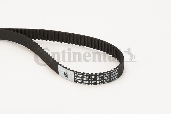Correia do mecanismo de distribuição de gás Continental/Siemens CT1077 preço, a partir de 33,12 USD