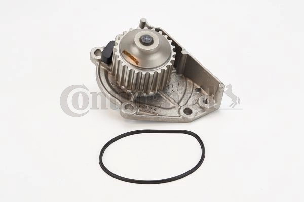 WP6083 Continental/Siemens