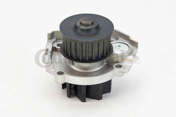 WP6042 Continental/Siemens