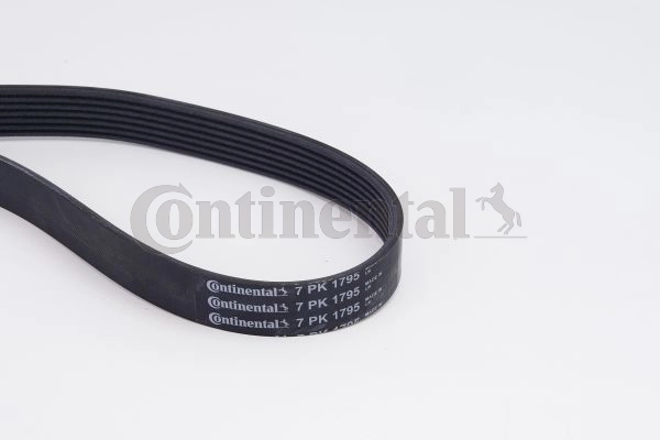 7PK1795K1 Continental/Siemens Correia dos conjuntos de transmissão, kit