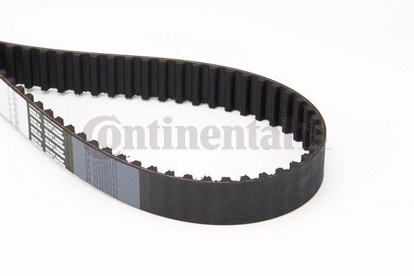 Correia do mecanismo de distribuição de gás Continental/Siemens CT987 preço, a partir de 30,86 USD