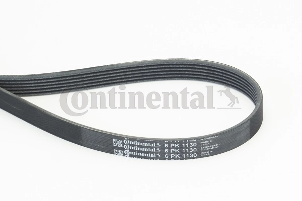 6PK1130 Continental/Siemens Correia dos conjuntos de transmissão