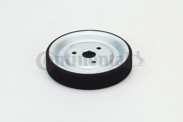 Polia da bomba de água Citroen C4 RUSSIA B73