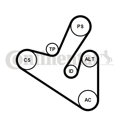 1613844280 Peugeot/Citroen Correia dos conjuntos de transmissão, kit