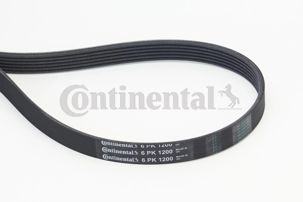 6PK1200 Continental/Siemens Correia dos conjuntos de transmissão