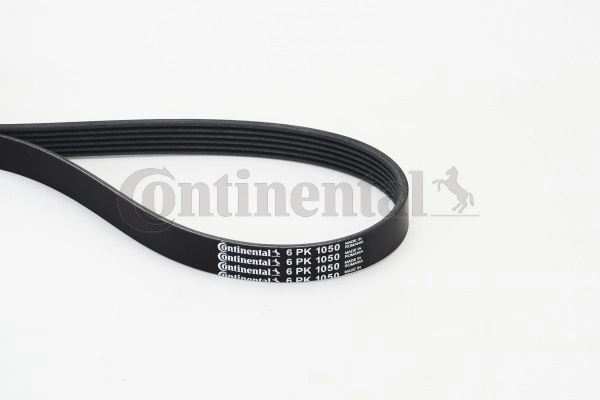 6PK1050 Continental/Siemens Correia dos conjuntos de transmissão