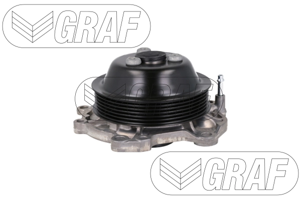 PA1485 Graf