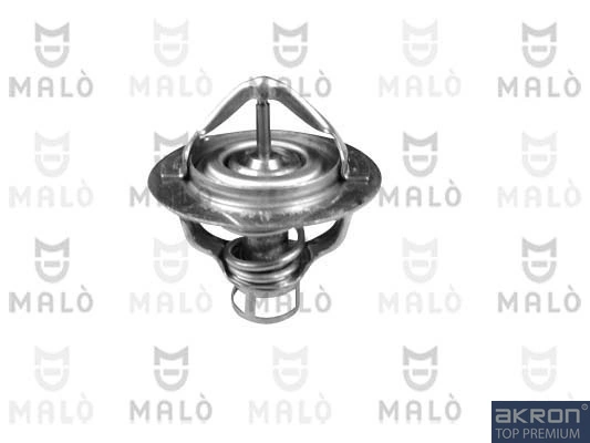 TER237 Akron Malo