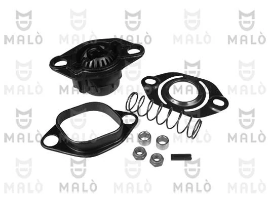 234211 Akron Malo