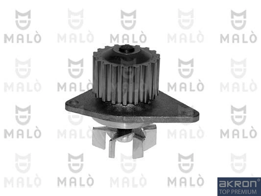 130287 Akron Malo